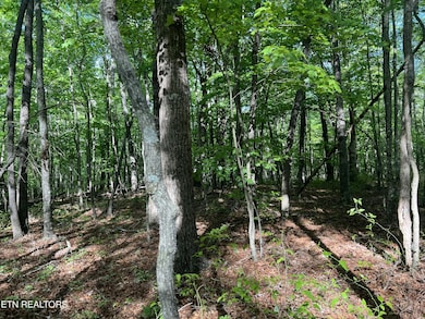 658 Peavine Firetower Rd, Crossville, TN 38571 - photo 5