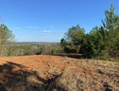 0 Hwy 43 N unit 172125, Northport, AL 35475 - photo 2