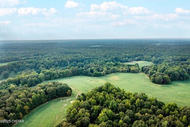 0 Vildo Rd, Bolivar, TN 38008 - photo 4