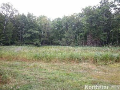 16975 479th Ln, Mc Gregor, MN 55760 - photo 7