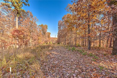 TBD Rosebud Ln, Rogers, AR 72756 - photo 7