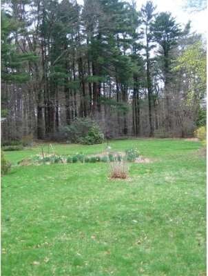 364 North Ave, Rockland, MA 02370 - photo 5