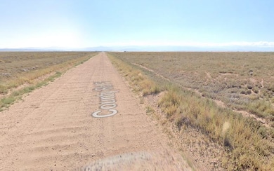 0 Somerset unit 25572948, Blanca, CO 81123 - photo 3