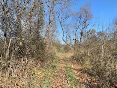 12166 Ohio 93, Logan, OH 43138 - photo 4