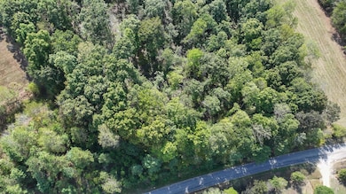 1 Deep Cut Rd, Erin, TN 37061 - photo 3