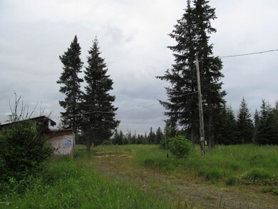 Driveway, shed, and power pole