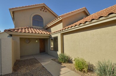 Cholla-0366