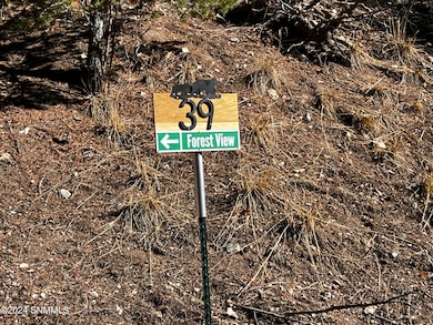 42 Forest View Rd, Cloudcroft, NM 88317 - photo 3