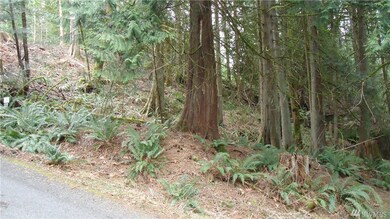 8 Thunder Peak Way, Sudden Valley, WA 98229 - photo 2