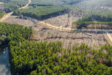 2041 Nathania Farm Rd, Lincolnton, GA 30817 - photo 7