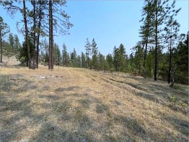 Northwest Meadow (2) - Copy