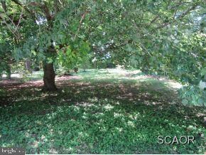 20516 Washington St, Rehoboth Beach, DE 19971 - photo 2