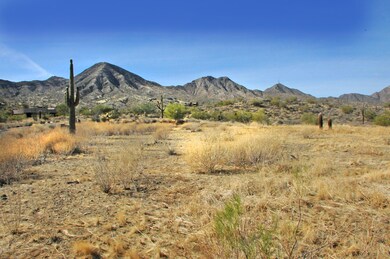 14352 E DESERT TORTOISE Trail, 30,