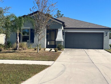 13403 Willow Bluestar Loop, Riverview, FL 33579 - photo 2