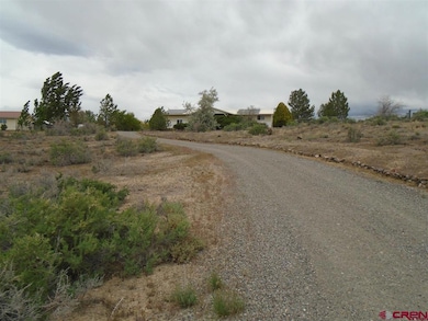 20469 Vista Grande Dr, Austin, CO 81410 - photo 2