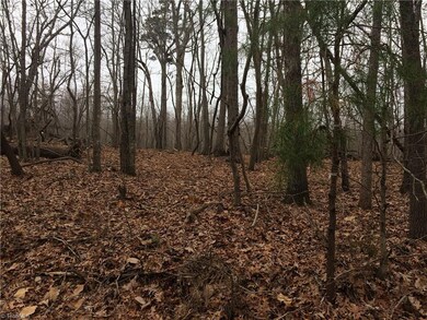 0 Rosemont Rd unit 961174, Asheboro, NC 27203 - photo 7