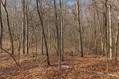 IMG_1003