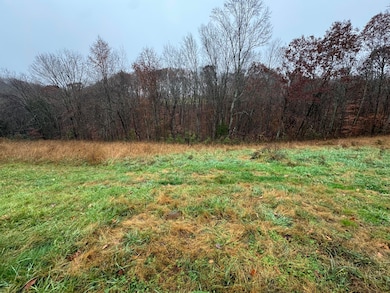 141 Allen Cemetery Rd, Knifley, KY 42753 - photo 2