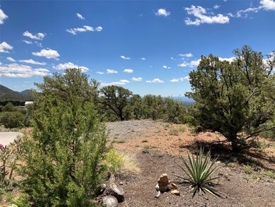 215 Double Arrow Rd, Santa Fe, NM 87505 - photo 6