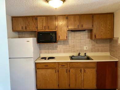 65 Franklin St unit R, Somerville, MA 02145 - photo 3