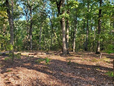 0 Swann Rd, Cool Springs, NC 28625 - photo 4