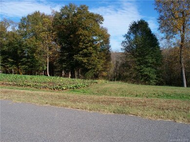 0 Clear Creek Cir unit 9 3450689, Lincolnton, NC 28092 - photo 2