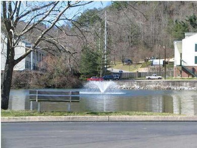 Pond