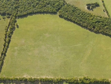 1440 County Road 2100, Cooper, TX 75432 - photo 4