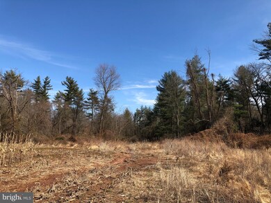 0 New Hope Rd unit PABU522864, Furlong, PA 18925 - photo 7