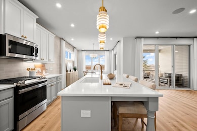 15465 112th Ave N, Maple Grove, MN 55369 - photo 3