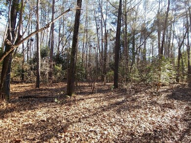 4281 Niagara Carthage Rd, Carthage, NC 28327 - photo 6