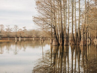 0 Bridges Ave unit 11609195, Glendora, MS 38928 - photo 7