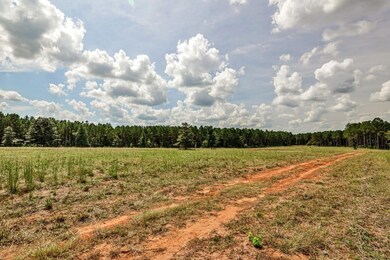 0 Old Zebulon Rd unit 25091896, Forsyth, GA 31029 - photo 7