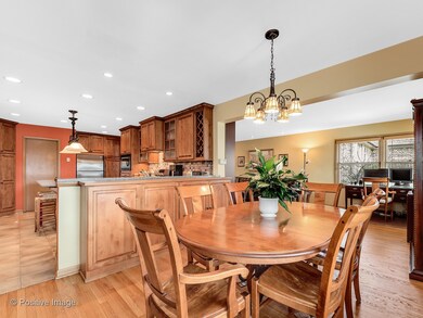 646 S Hillcrest Ave, Elmhurst, IL 60126 - photo 5