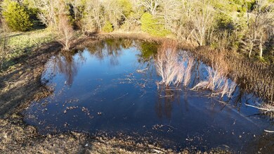 DJI_20241112161455_0066_D