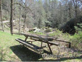View of River from Picnic Area