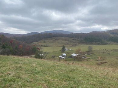 214 Comers Creek Rd, Sugar Grove, VA 24375 - photo 5