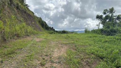 0 Bo Honduras unit MFRPR9117430, Cidra, PR 00739 - photo 3