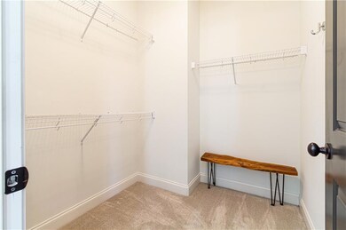Walk in closet with light carpet