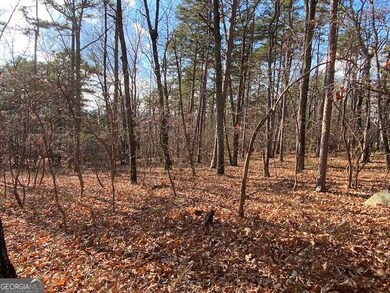 0 Quail Way unit LOT 533, Jasper, GA 30143 - photo 3