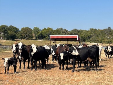 Horse barn featuring a view of countryside and view of scattered trees
