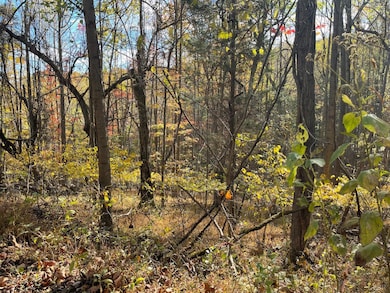 0 Hickory Falls Rd unit 361693, Blue Ridge, VA 24064 - photo 4