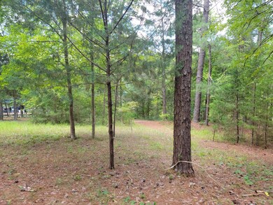 Lot 13 middle of back left lot showing b