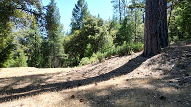 12258 Pine Cone Cir, Grass Valley, CA 95945 - photo 5