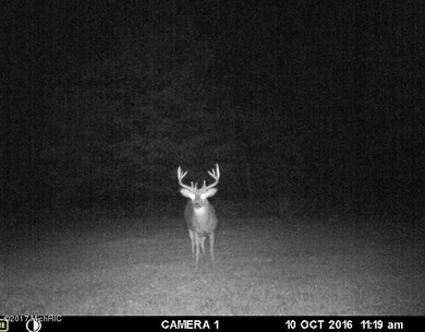 0 E 1st St, Custer, MI 49405 - photo 3