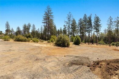 9262 Skyway, Paradise, CA 95969 - photo 6