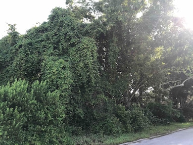 0 Madrid St Lot 2, Saint Augustine Beach, FL 32080 - photo 6