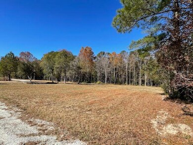 608 Bc Estates Ln, Cross, SC 29436 - photo 5