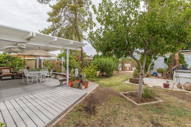 2) BACK YARD