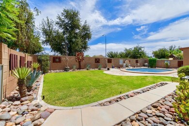 Back yard